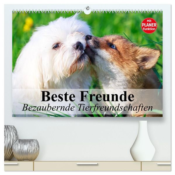 Beste Freunde. Bezaubernde Tierfreundschaften (hochwertiger Premium Wandkalender 2027 DIN A2 quer) Kunstdruck in Hochglanz