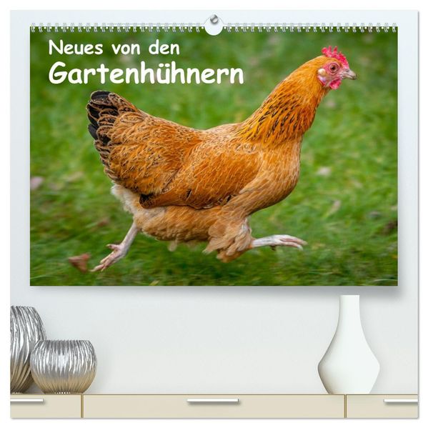Neues von den Gartenhühnern (hochwertiger Premium Wandkalender 2027 DIN A2 quer) Kunstdruck in Hochglanz