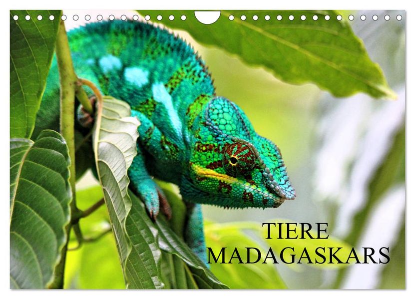 Tiere Madagaskars (Wandkalender 2027 DIN A4 quer) CALVENDO Monatskalender