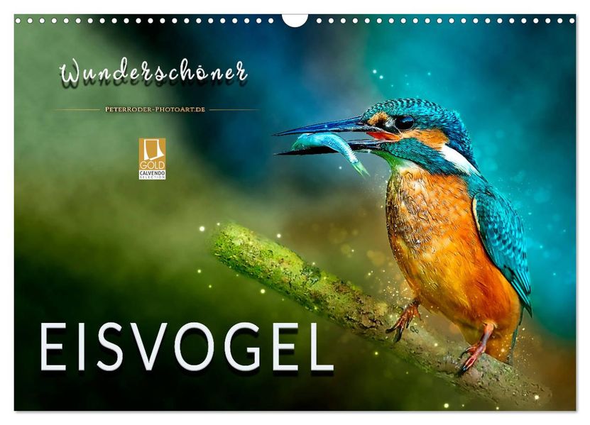 Wunderschöner Eisvogel (Wandkalender 2027 DIN A3 quer) CALVENDO Monatskalender