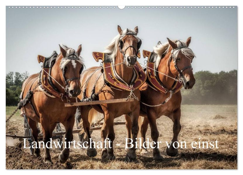 Landwirtschaft - Bilder von einst (Wandkalender 2027 DIN A2 quer) CALVENDO Monatskalender