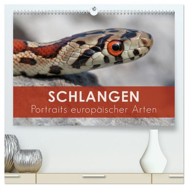 Schlangen - Portraits europäischer Arten (hochwertiger Premium Wandkalender 2027 DIN A2 quer) Kunstdruck in Hochglanz