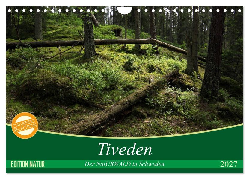 Tiveden der NatURWALD in Schweden (Wandkalender 2027 DIN A4 quer) CALVENDO Monatskalender