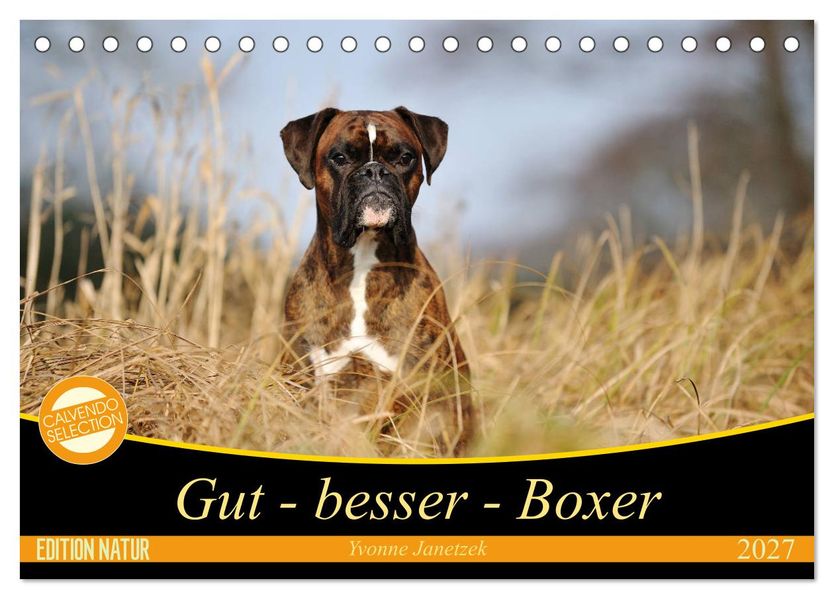 Gut - besser - Boxer (Tischkalender 2027 DIN A5 quer) CALVENDO Monatskalender