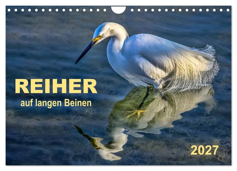 Reiher - auf langen Beinen (Wandkalender 2027 DIN A4 quer) CALVENDO Monatskalender