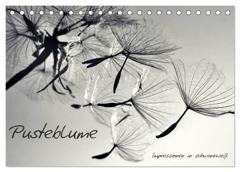 Pusteblume - Impressionen in schwarzweiß (Tischkalender 2027 DIN A5 quer) CALVENDO Monatskalender