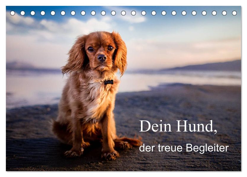 Dein Hund der treue Begleiter (Tischkalender 2027 DIN A5 quer) CALVENDO Monatskalender