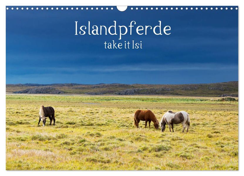 Islandpferde take it Isi (Wandkalender 2027 DIN A3 quer) CALVENDO Monatskalender