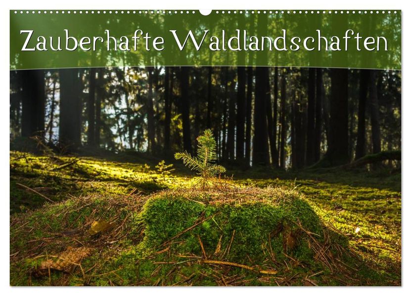 Zauberhafte Waldlandschaften (Wandkalender 2027 DIN A2 quer) CALVENDO Monatskalender