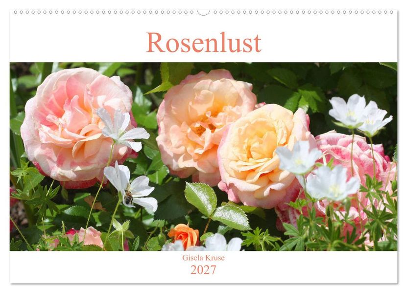 Rosenlust (Wandkalender 2027 DIN A2 quer) CALVENDO Monatskalender