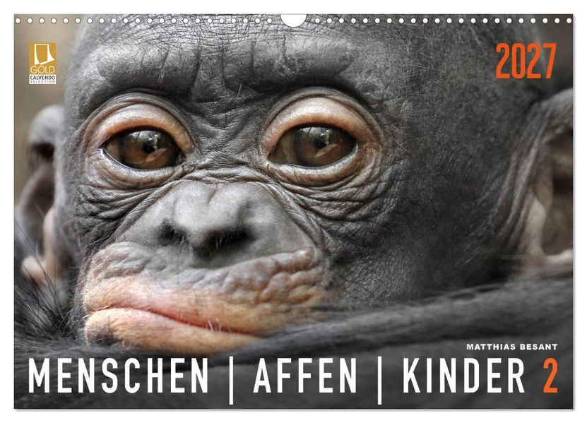 MENSCHENAFFENKINDER 2 (Wandkalender 2027 DIN A3 quer) CALVENDO Monatskalender