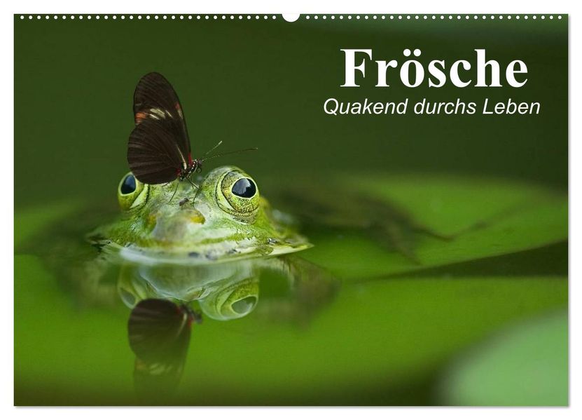 Frösche. Quakend durchs Leben (Wandkalender 2027 DIN A2 quer) CALVENDO Monatskalender