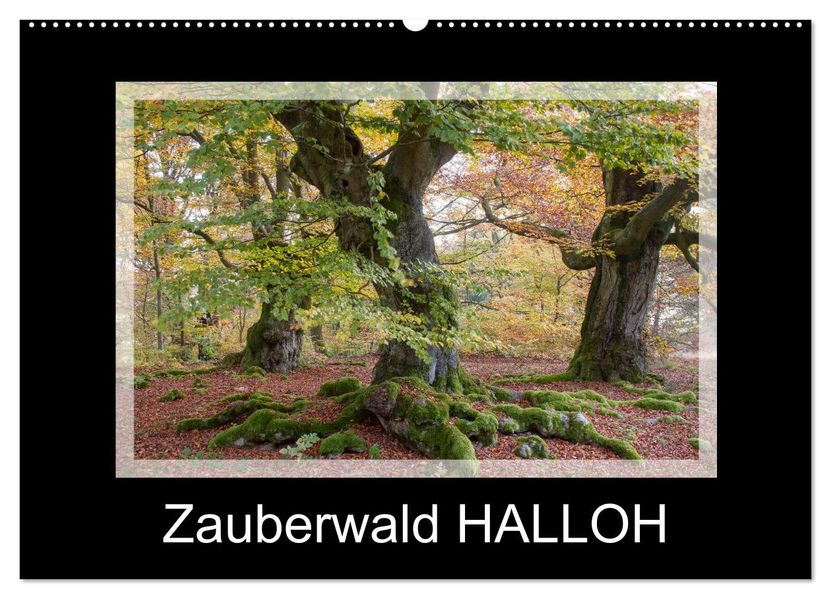 Zauberwald HALLOH (Wandkalender 2027 DIN A2 quer) CALVENDO Monatskalender