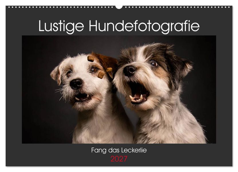 Fang das Leckerlie (Wandkalender 2027 DIN A2 quer) CALVENDO Monatskalender