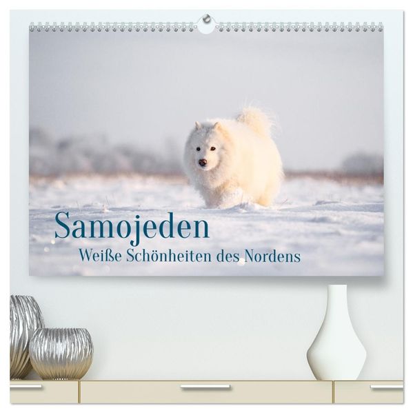 Samojeden - Liebenswerte Fellkugeln (hochwertiger Premium Wandkalender 2027 DIN A2 quer) Kunstdruck in Hochglanz