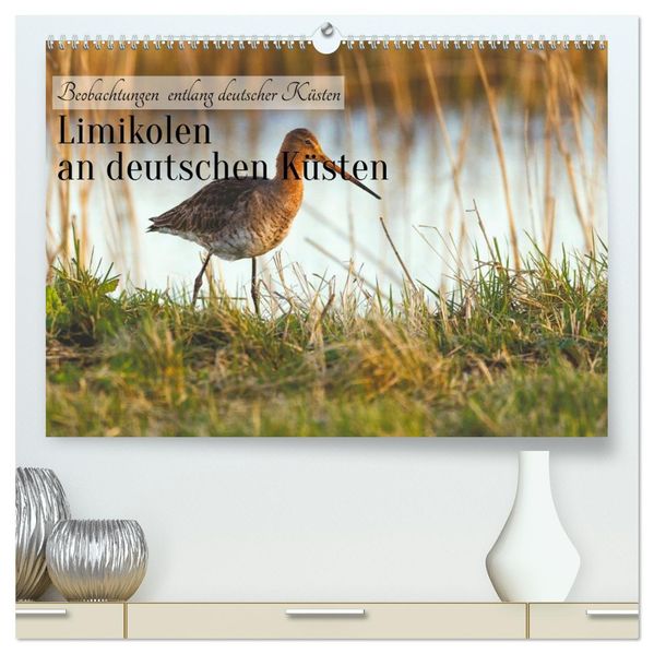 Limikolen an deutschen Küsten (hochwertiger Premium Wandkalender 2027 DIN A2 quer) Kunstdruck in Hochglanz