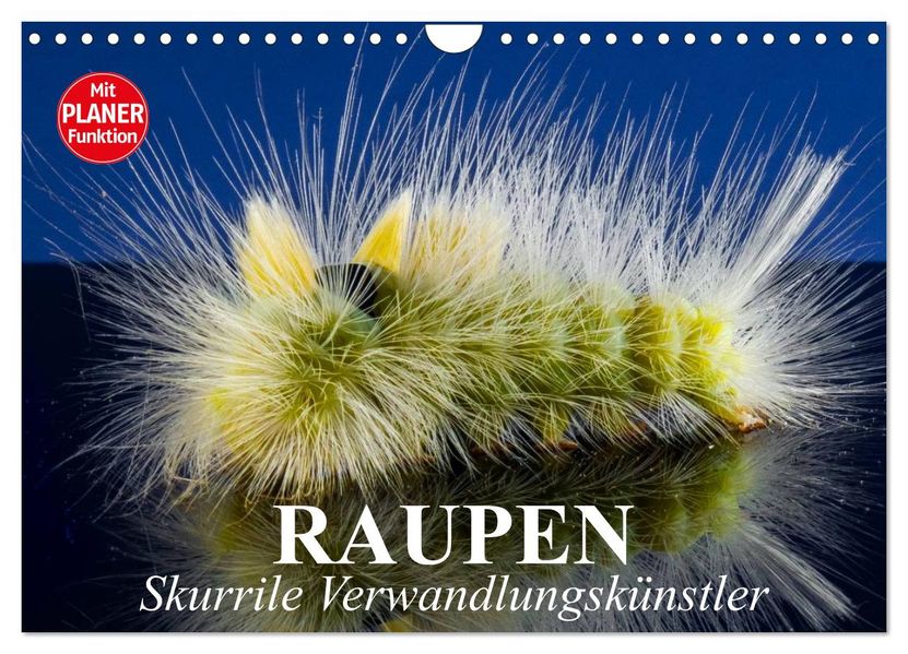 Raupen. Skurrile Verwandlungskünstler (Wandkalender 2027 DIN A4 quer) CALVENDO Monatskalender
