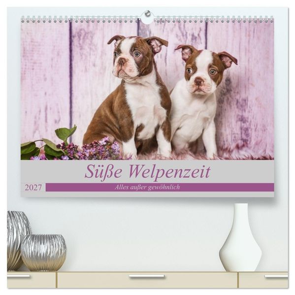 Süße Welpenzeit - Alles außer gewöhnlich (hochwertiger Premium Wandkalender 2027 DIN A2 quer) Kunstdruck in Hochglanz