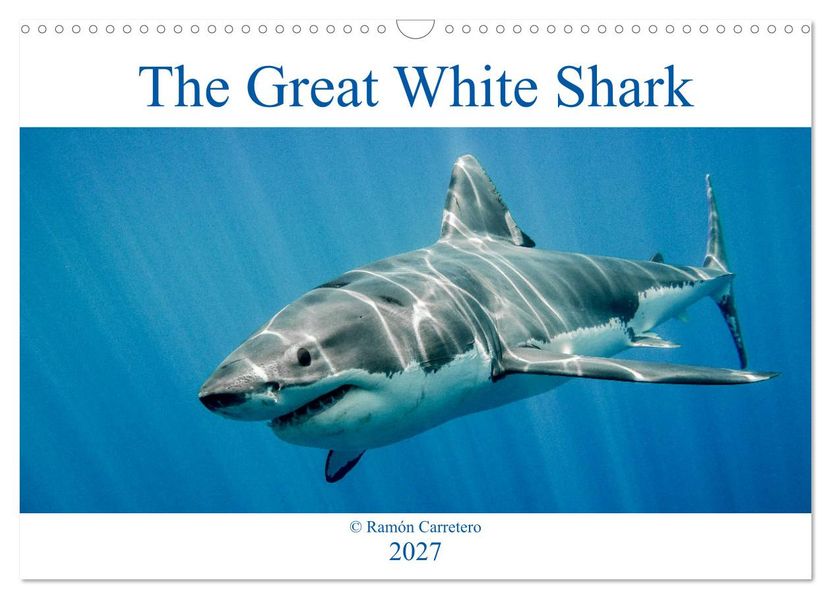 The Great White Shark: King of the Ocean (Wall Calendar 2027 DIN A3 landscape) CALVENDO 12 Month Wall Calendar