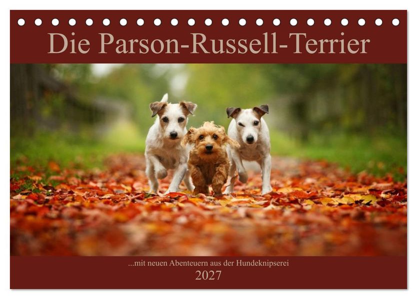 Die Parson-Russell-Terrier...mit neuen Abenteuern aus der Hundeknipserei (Tischkalender 2027 DIN A5 quer) CALVENDO Monatskalender