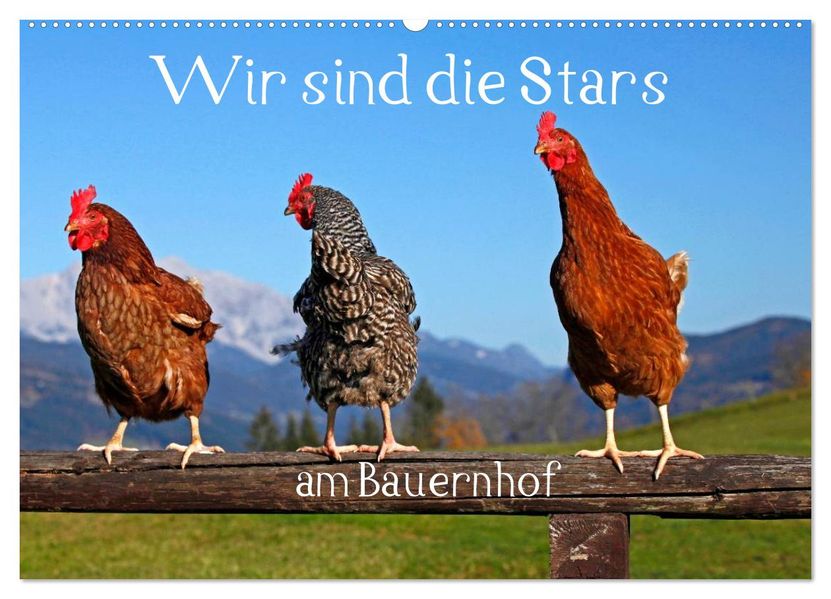 Wir sind die Stars am Bauernhof (Wandkalender 2027 DIN A2 quer) CALVENDO Monatskalender