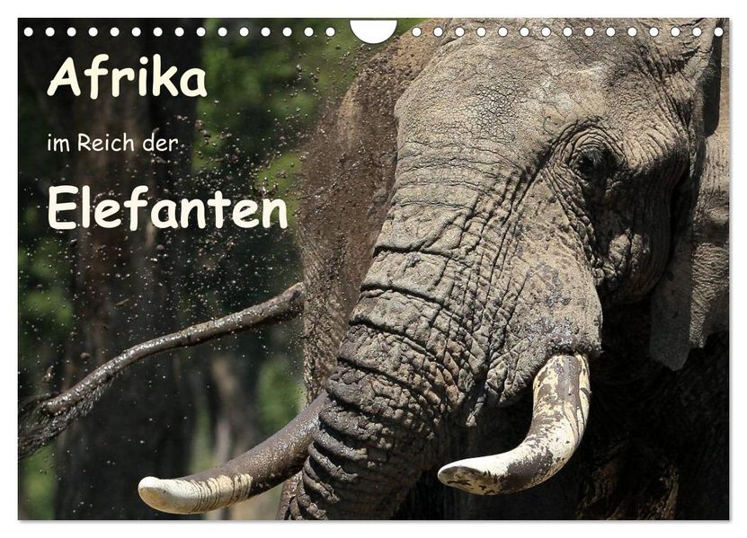 Afrika - im Reich der Elefanten (Wandkalender 2027 DIN A4 quer) CALVENDO Monatskalender