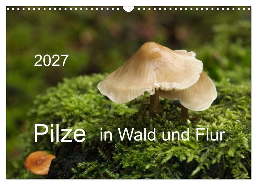 Pilze in Wald und Flur (Wandkalender 2027 DIN A3 quer) CALVENDO Monatskalender