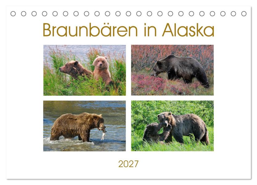 Braunbären in Alaska (Tischkalender 2027 DIN A5 quer) CALVENDO Monatskalender