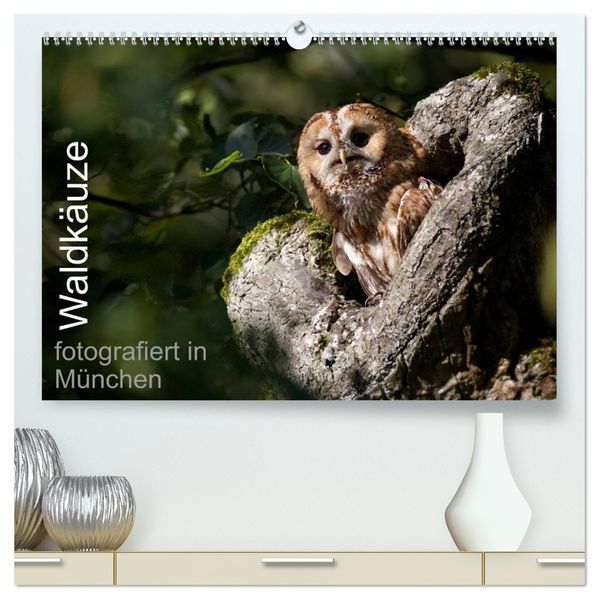 Waldkäuze fotografiert in München (hochwertiger Premium Wandkalender 2027 DIN A2 quer) Kunstdruck in Hochglanz