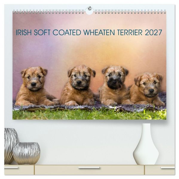 IRISH SOFT COATED WHEATEN TERRIER 2027 (hochwertiger Premium Wandkalender 2027 DIN A2 quer) Kunstdruck in Hochglanz