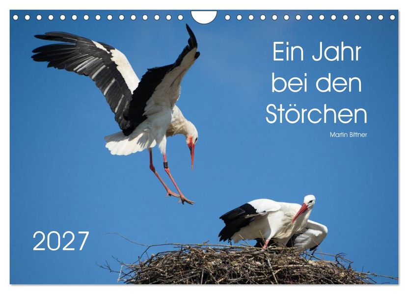 Ein Jahr bei den Störchen (Wandkalender 2027 DIN A4 quer) CALVENDO Monatskalender