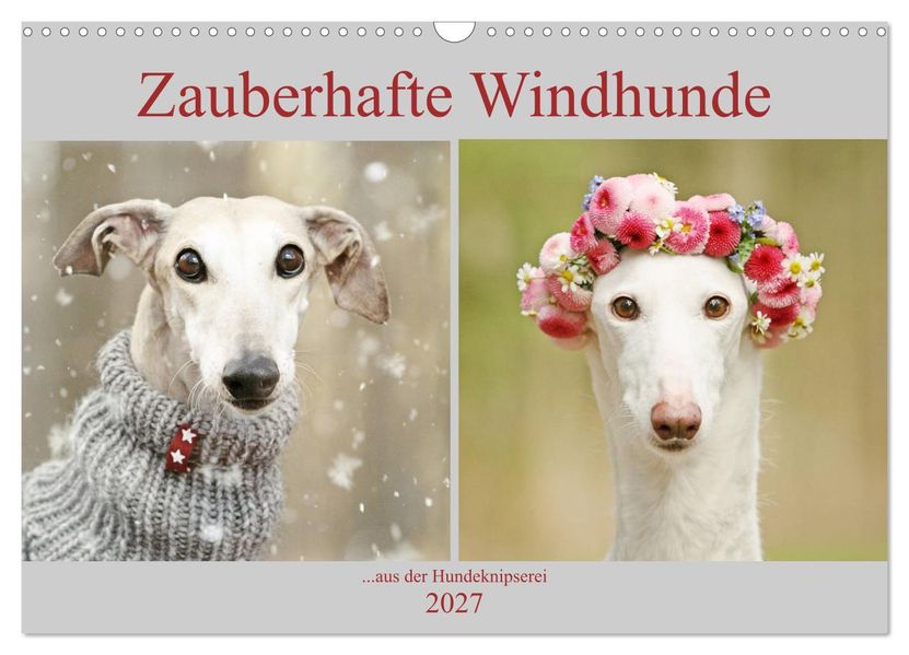 Zauberhafte Windhunde (Wandkalender 2027 DIN A3 quer) CALVENDO Monatskalender