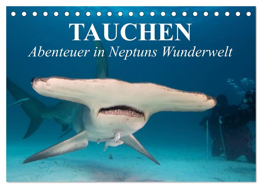 Tauchen - Abenteuer in Neptuns Wunderwelt (Tischkalender 2027 DIN A5 quer) CALVENDO Monatskalender