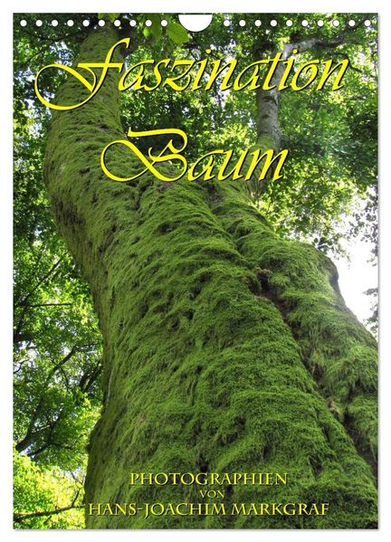 Faszination Baum (Wandkalender 2027 DIN A4 hoch) CALVENDO Monatskalender