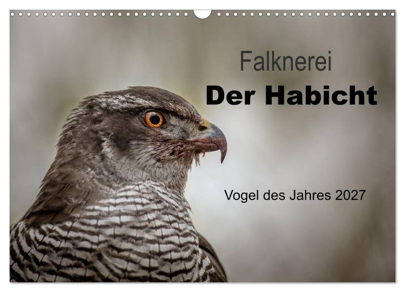 Falknerei Der Habicht (Wandkalender 2027 DIN A3 quer) CALVENDO Monatskalender