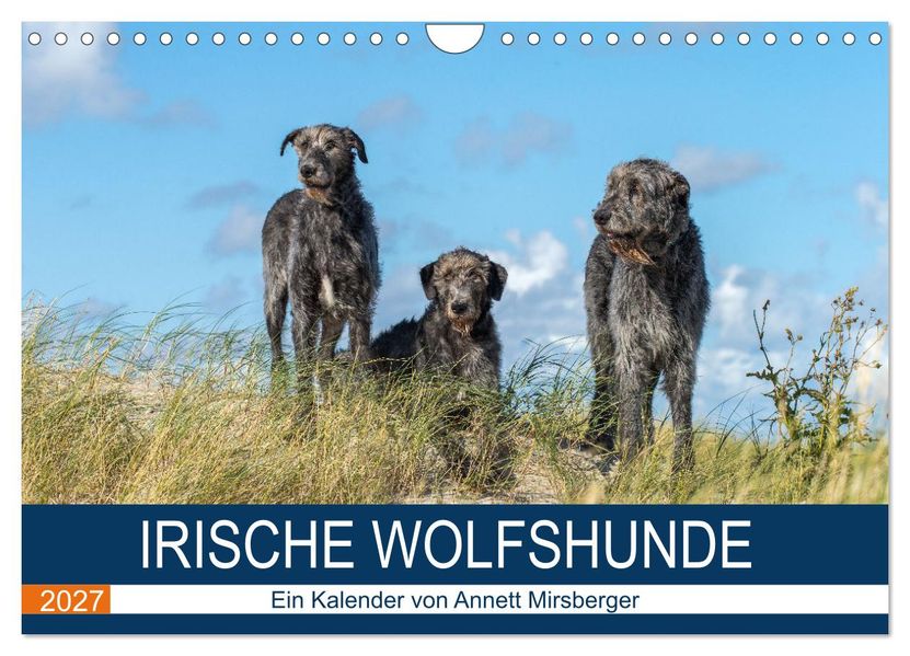 Irische Wolfshunde (Wandkalender 2027 DIN A4 quer) CALVENDO Monatskalender