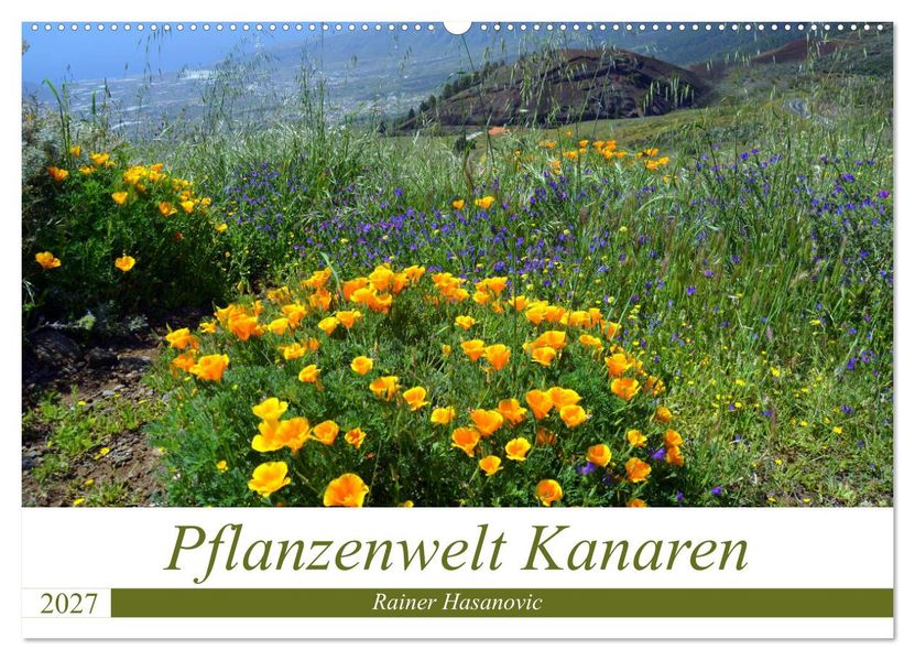 Pflanzenwelt Kanaren (Wandkalender 2027 DIN A2 quer) CALVENDO Monatskalender