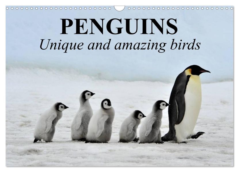 Penguins Unique and amazing birds (Wall Calendar 2027 DIN A3 landscape) CALVENDO 12 Month Wall Calendar