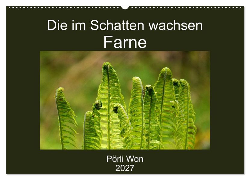 Die im Schatten wachsen - Farne (Wandkalender 2027 DIN A2 quer) CALVENDO Monatskalender