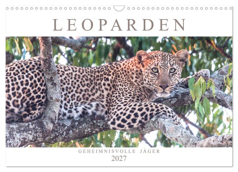 Leoparden - Geheimnisvolle Jäger (Wandkalender 2027 DIN A3 quer) CALVENDO Monatskalender