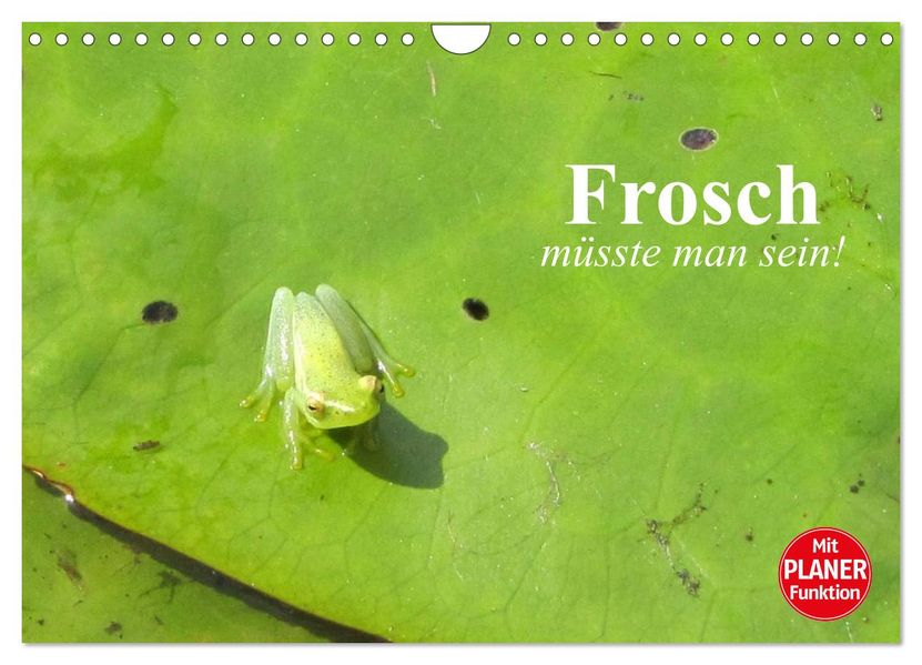 Frosch müsste man sein! (Wandkalender 2027 DIN A4 quer) CALVENDO Monatskalender