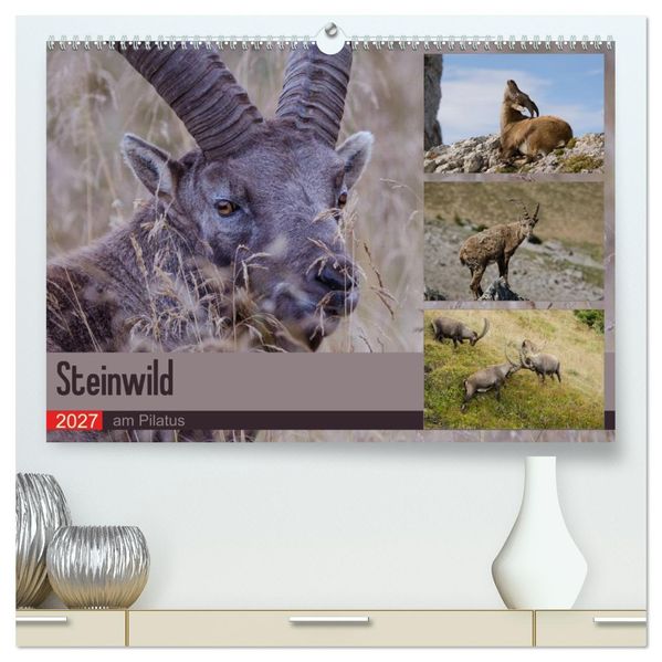 Steinwild am Pilatus (hochwertiger Premium Wandkalender 2027 DIN A2 quer) Kunstdruck in Hochglanz