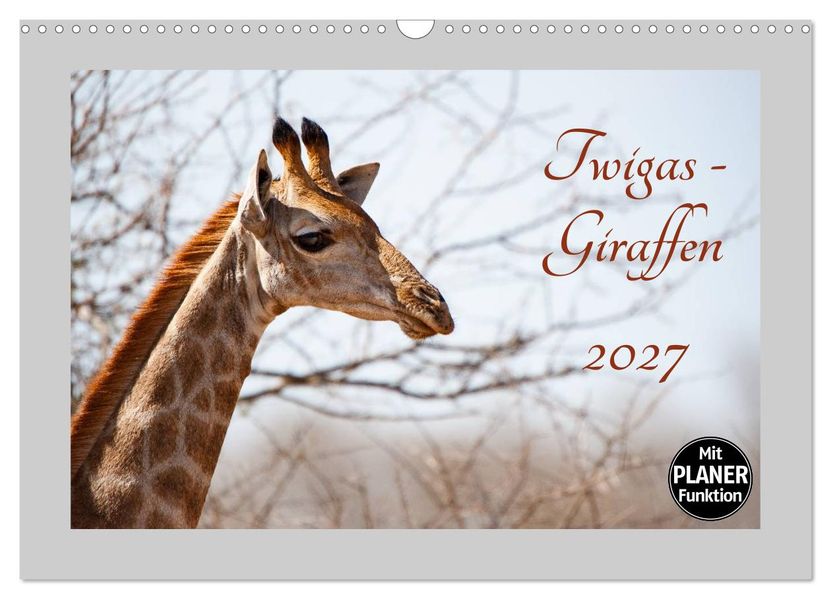 Twigas - Giraffen (Wandkalender 2027 DIN A3 quer) CALVENDO Monatskalender