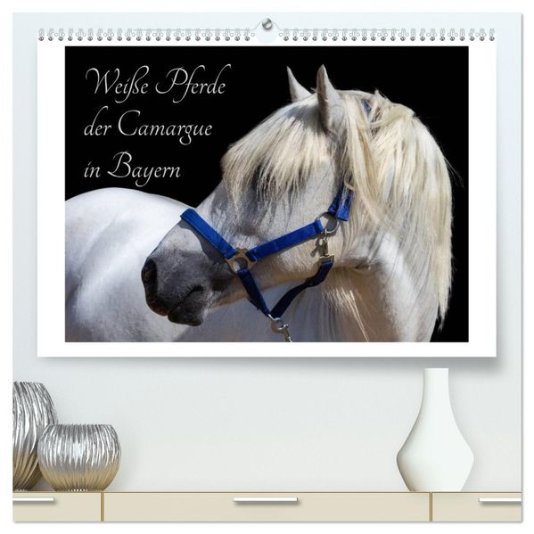 Weiße Pferde der Camargue in Bayern (hochwertiger Premium Wandkalender 2027 DIN A2 quer) Kunstdruck in Hochglanz