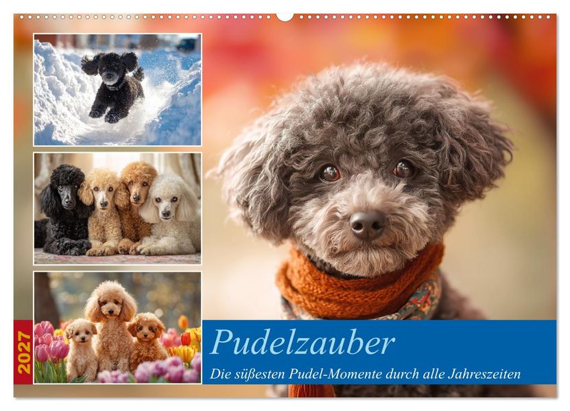 Pudelzauber (Wandkalender 2027 DIN A2 quer) CALVENDO Monatskalender