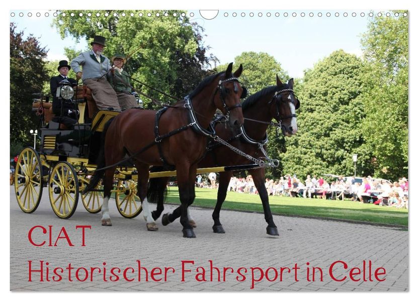 CIAT - Historischer Fahrsport in Celle (Wandkalender 2027 DIN A3 quer) CALVENDO Monatskalender