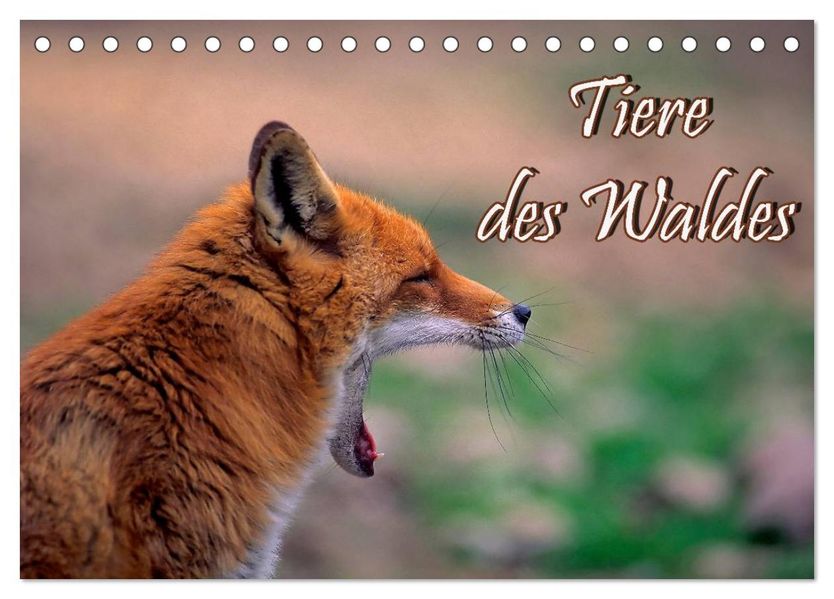 Tiere des Waldes (Tischkalender 2027 DIN A5 quer) CALVENDO Monatskalender