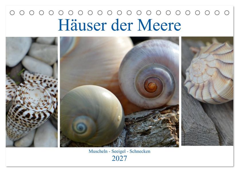 Häuser der Meere: Muscheln - Seeigel - Schnecken (Tischkalender 2027 DIN A5 quer) CALVENDO Monatskalender