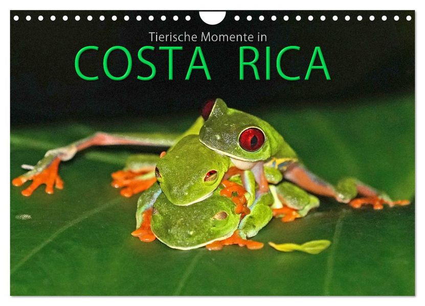 COSTA RICA - Tierische Momente (Wandkalender 2027 DIN A4 quer) CALVENDO Monatskalender