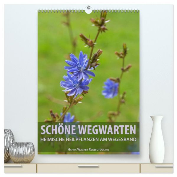 Schöne Wegwarten. Heimische Heilpflanzen am Wegesrand (hochwertiger Premium Wandkalender 2027 DIN A2 hoch) Kunstdruck in Hochglanz